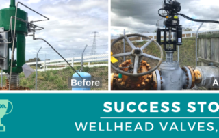 Success Story Wellhead Valves